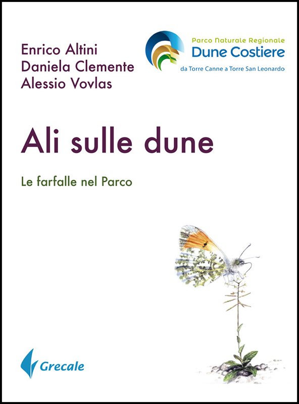 Ali sulle dune